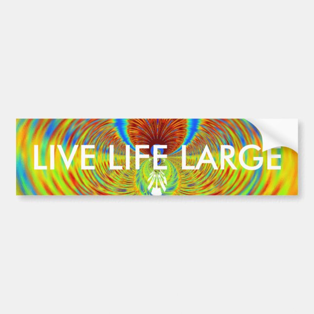 Colorful Kaleidoscope Art Print Bumper Sticker (Front)