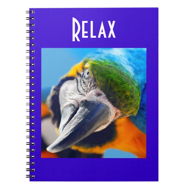 Colorful Macaw Notebook (Front)