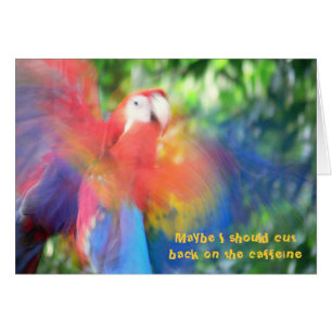COLORFUL MACAW "TOO MUCH CAFFEINE" HUMOROUS CARD