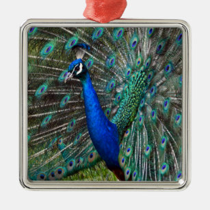 Colorful male peacock metal tree decoration