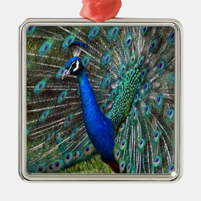 Colorful male peacock metal tree decoration (Front)