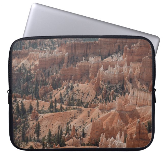 COLORFUL MOUNTAIN LAPTOP SLEEVE (Front)