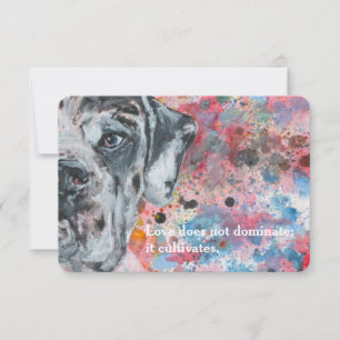 Colorful Mr. Dane Invitation