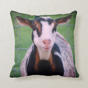 Colorful Nigerian Dwarf Dairy Goat Cushion