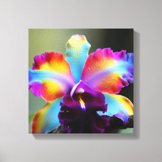 Colorful orchids canvas print