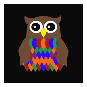 Colorful Owl Photo Print
