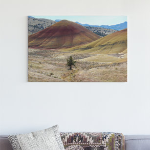 Colorful Painted Hills Landscape Canvas Print