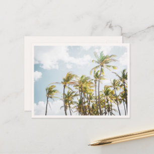 Colorful Palm Trees in Hawaii Blank Postcard