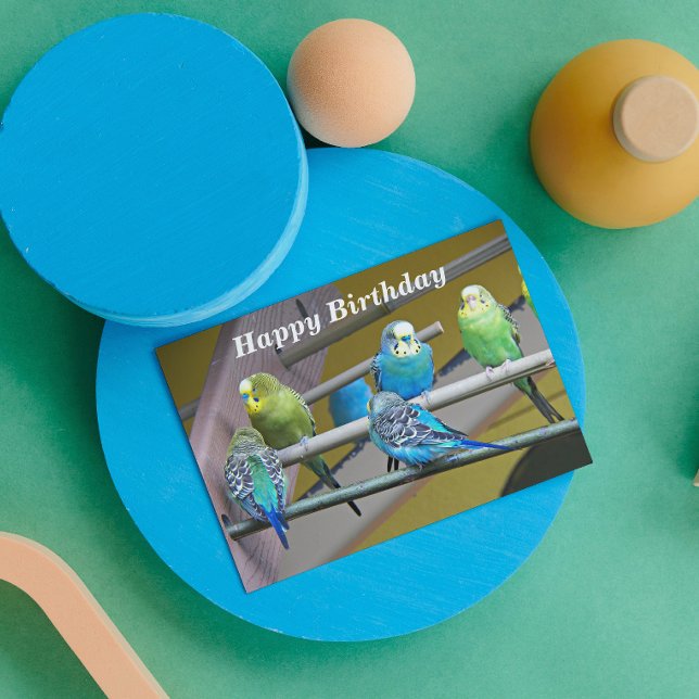 Colorful Parakeets on Perch From All Birthday Card (In Situ)