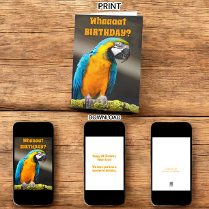 Colorful Parrot Any Birthday Template