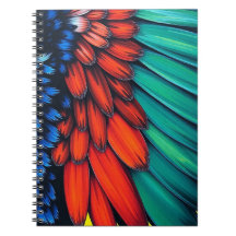 Colorful Parrot Feathers