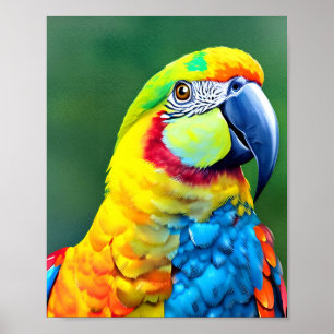 Colorful parrot on green background poster