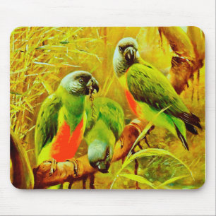 Colorful Parrots Mouse Mat