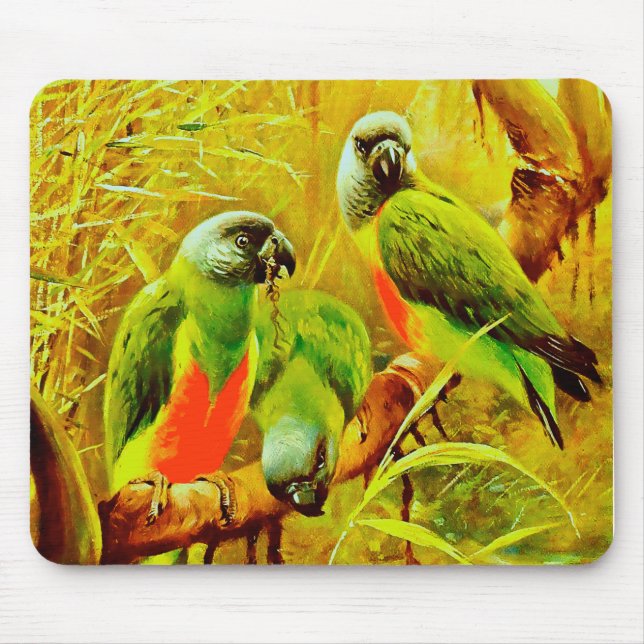 Colorful Parrots Mouse Mat (Front)
