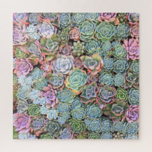 Colorful Pastel Succulent Garden Square Puzzle