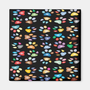 Colorful paw prints magnet