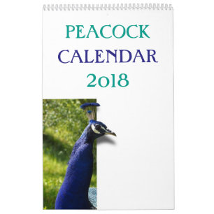 Colorful Peacock 2017 Calendar
