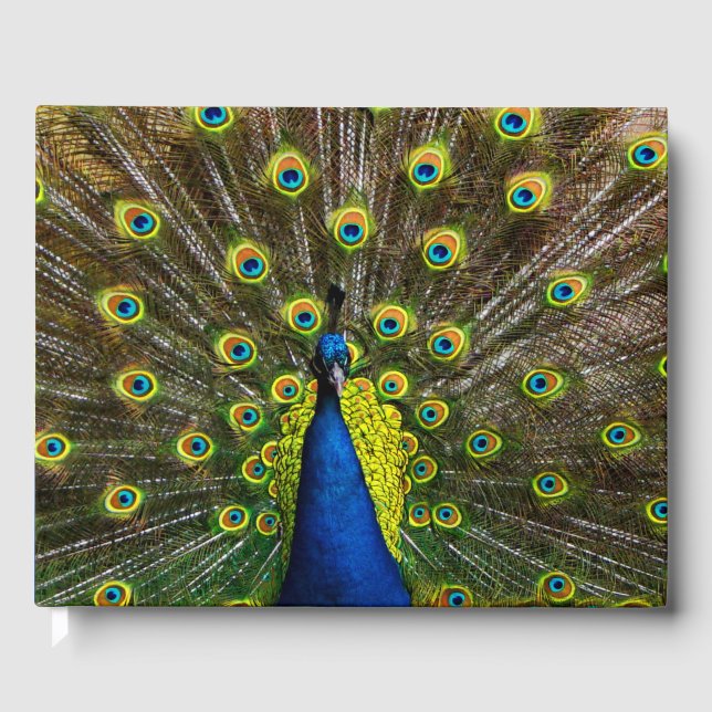 Colorful peacock guest book (Front)