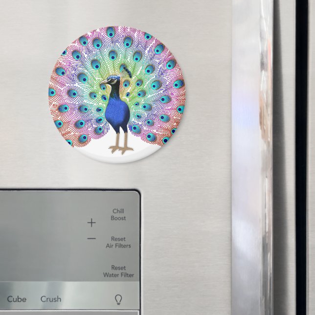 Colorful Peacock Illustration with Elegant Feather Magnet (In Situ (Fridge))