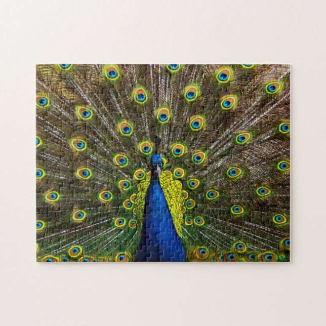Colorful peacock jigsaw puzzle (Horizontal)
