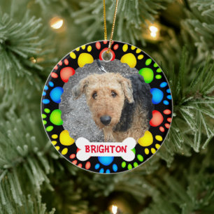 Colorful pet tree ornament