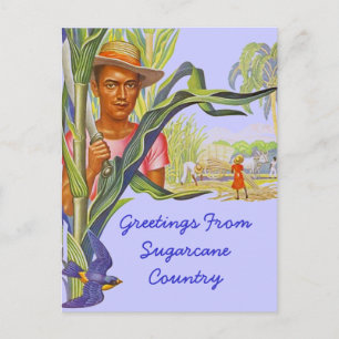 COLORFUL PROMO TRAVEL SUGARCANE HARVEST POSTCARD
