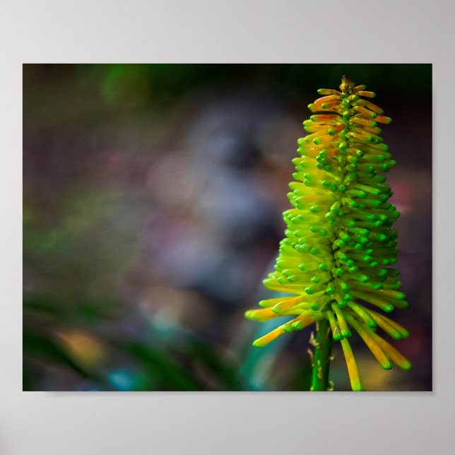 Colorful Psychedelic flower photographhic Poster (Front)