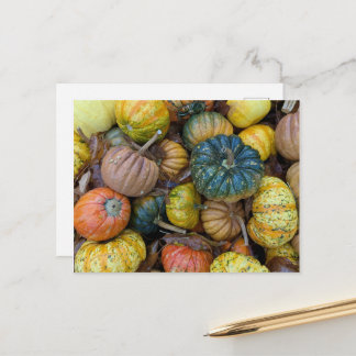 Colorful Pumpkin Postcard