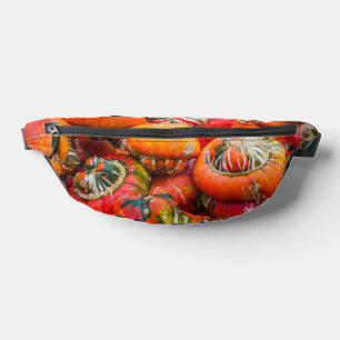 Colorful pumpkins bum bags
