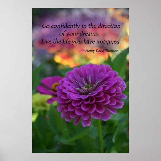 Colorful Purple zinnia flower inspirational quote Poster (Front)