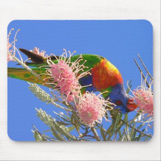 Colorful Rainbow Lorikeet Bird Eating Nectar Mouse Mat
