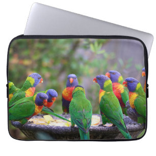 Colorful Rainbow Lorikeet Parrots Eating Laptop Sleeve