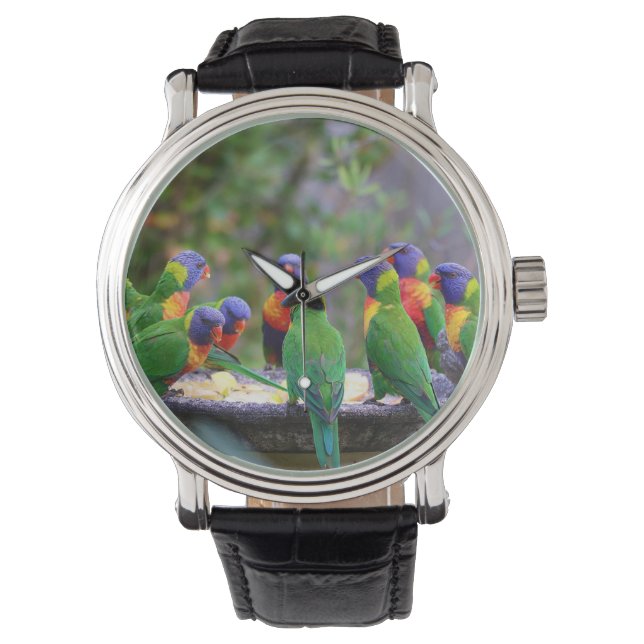Colorful Rainbow Lorikeet Parrots Eating Watch (Front)