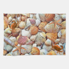 Colorful Sea shells 