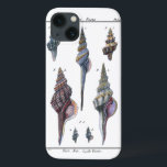 Colorful Seven Seashells iPhone 13 Case<br><div class="desc">Artist Denis Diderot is talented and known for his great sea life images. In this vivid image, he captures Seven colorful Conch seashells in their most natural and unique styles. Conches are often crackled and come in all shape and sizes. Get your seashell product today and enjoy image the ocean...</div>
