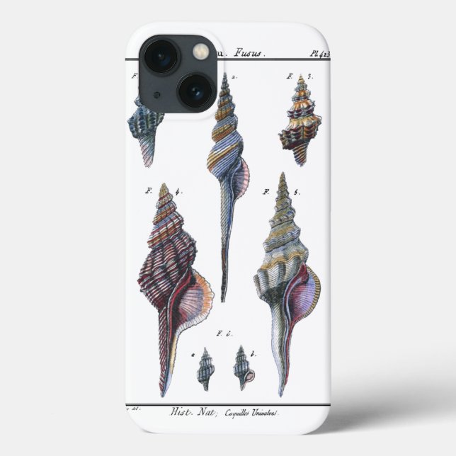 Colorful Seven Seashells Case-Mate iPhone Case (Back)