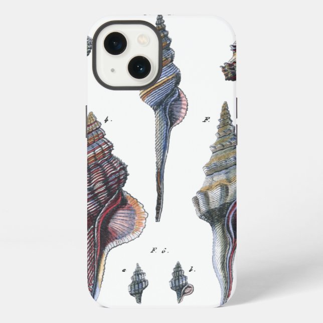 Colorful Seven Seashells iPhone Case (Back)