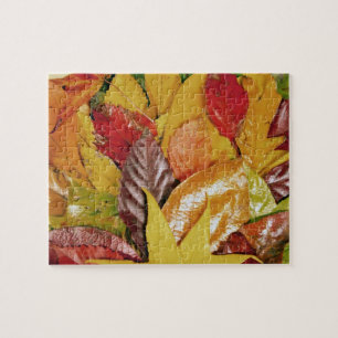 Colorful Shiny Red   Yellow Fall Leaves Jigsaw Puzzle