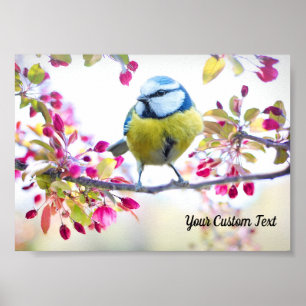 Colorful Songbird & Spring Blossoms, Your Message Poster