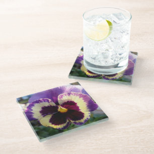 colorful spring Pansy Glass Coaster