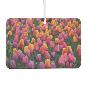Colorful spring tulips car air freshener