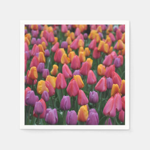 Colorful spring tulips napkin