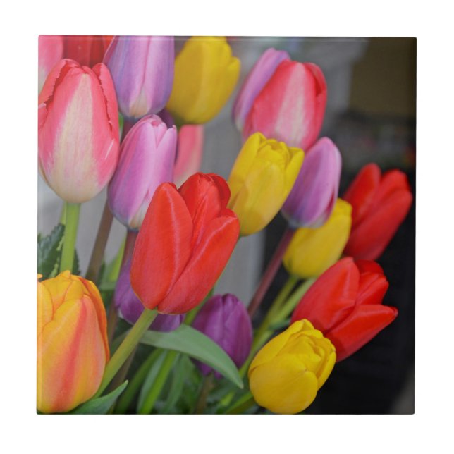 Colorful spring tulips tile (Front)