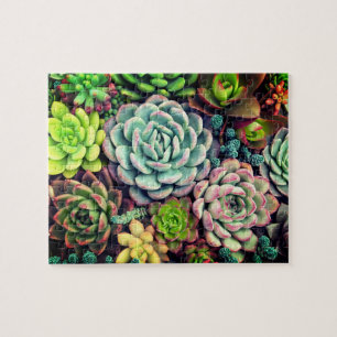 Colorful Succulent arrangement garden Jigsaw Puzzle