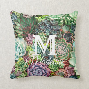 Colorful Succulent Garden Cushion
