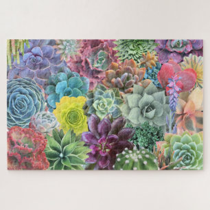 Colorful Succulent Puzzle