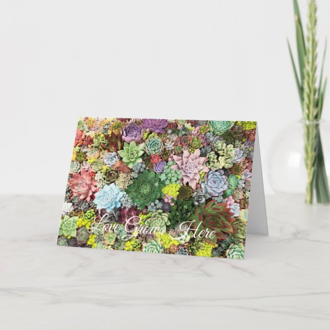 Colorful Succulents Card (Front)