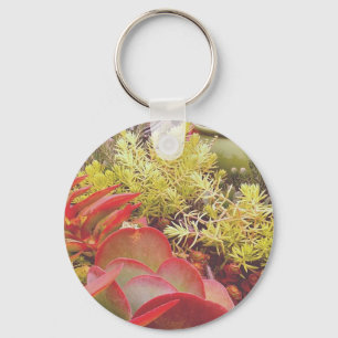 Colorful Succulents Key Ring