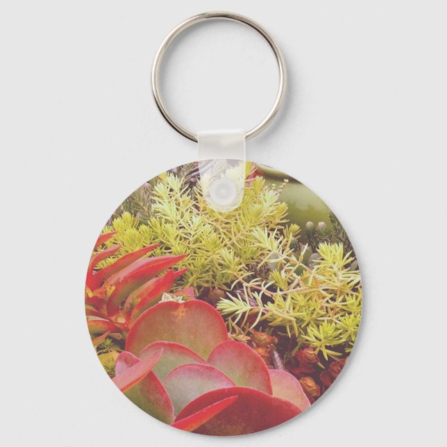 Colorful Succulents Key Ring (Front)