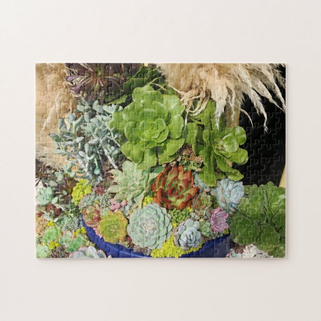 Colorful Succulents with Silver Grass Jigsaw Puzzle (Horizontal)